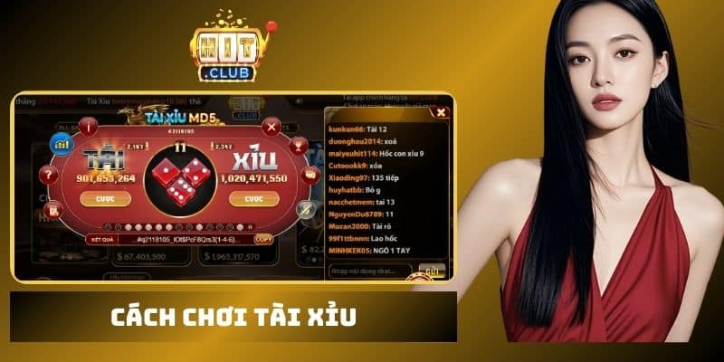 Cách chơi tài xỉu