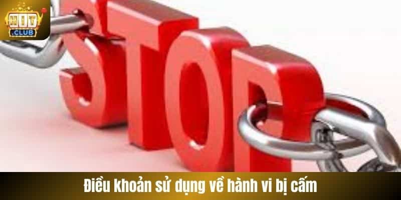 Điều khoản sử dụng về hành vi bị cấm