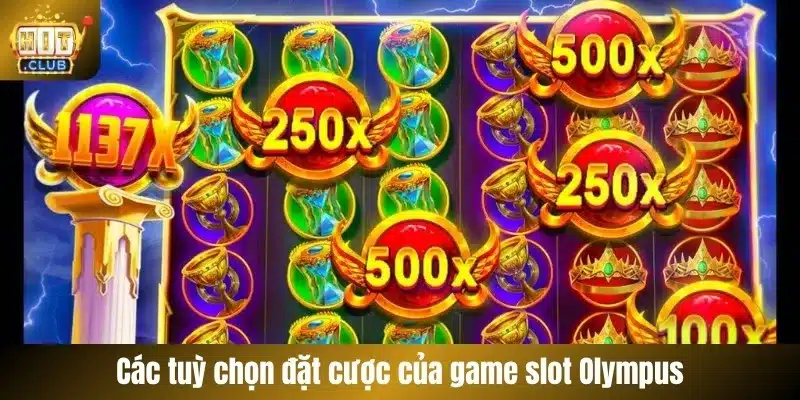 Các tuỳ chọn đặt cược của game slot Olympus